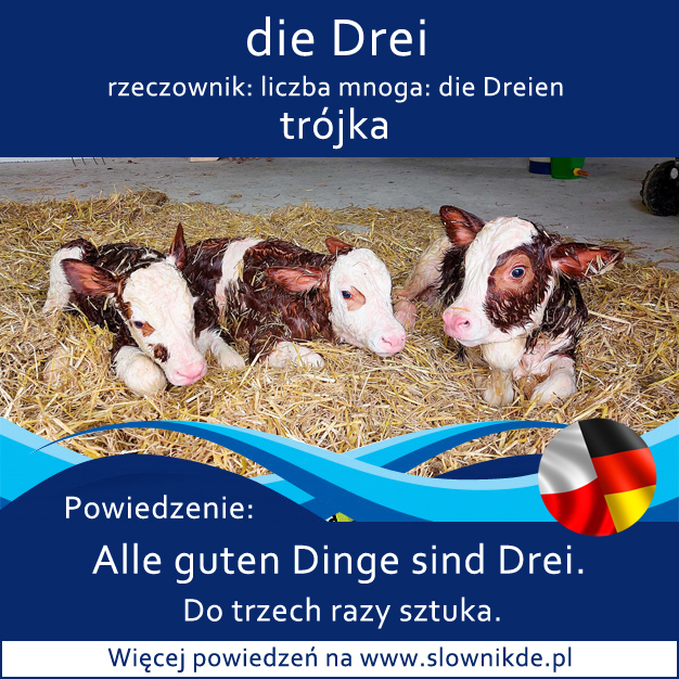 Niemieckie idiomy