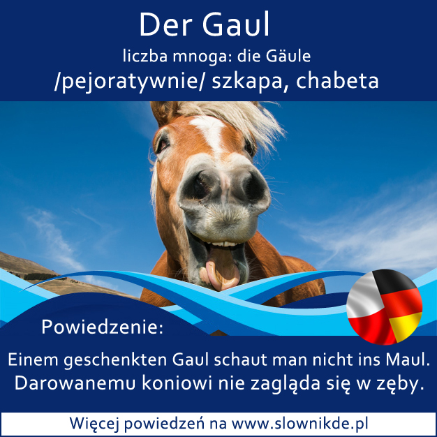 der Gaul - szkapa, chabeta
