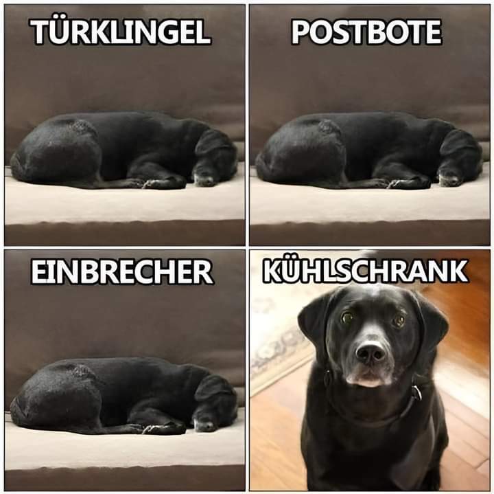 Kühlschrank der - lodówka