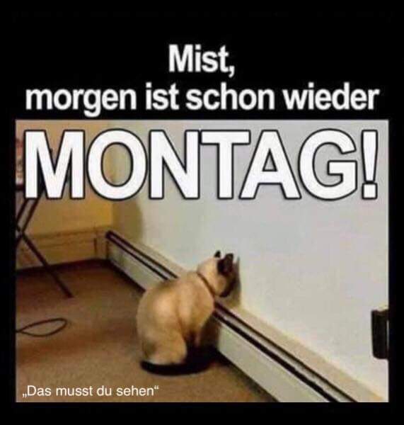 der Montag - poniedziałek