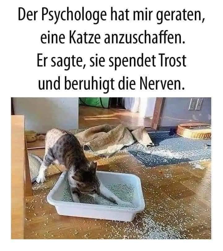 der Nerv - nerw