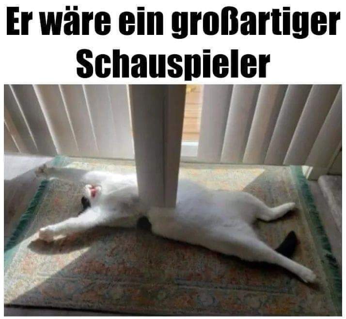 der Schauspieler - aktor