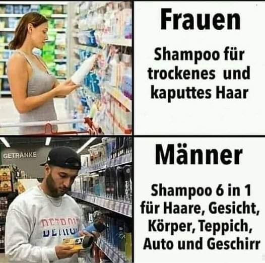 das Shampoo - szampon