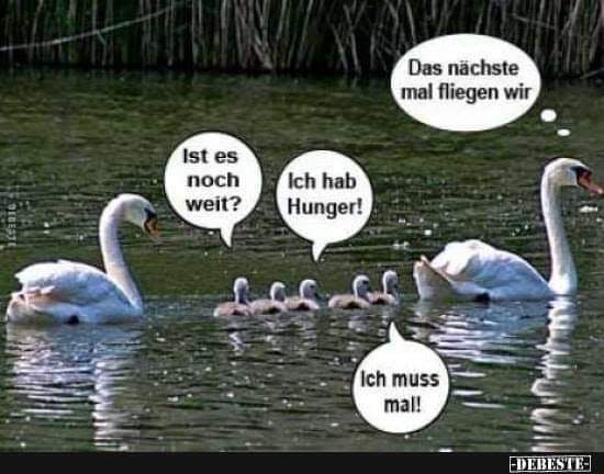 weit - szeroki, obszerny, rozległy, luźny, daleki