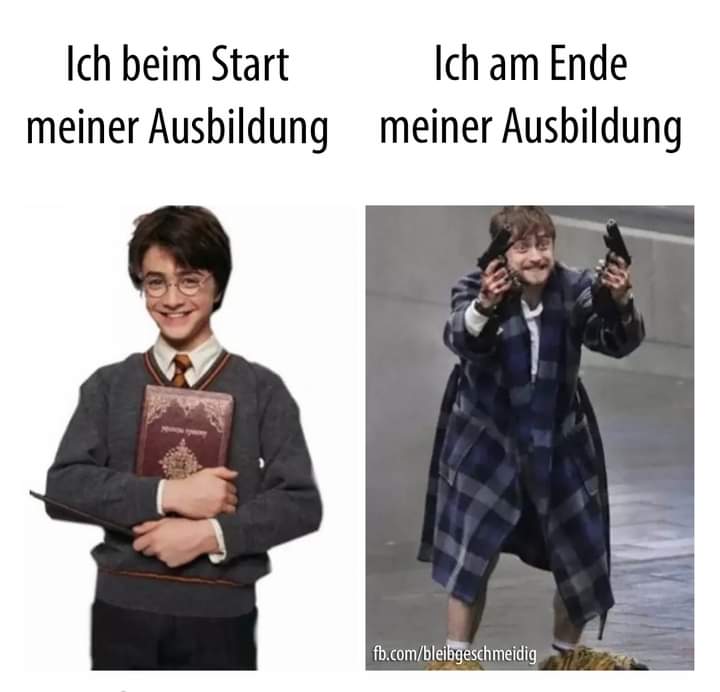 die Ausbildung - wykształcenie, doskonalenie, rozwijanie, wyćwiczenie