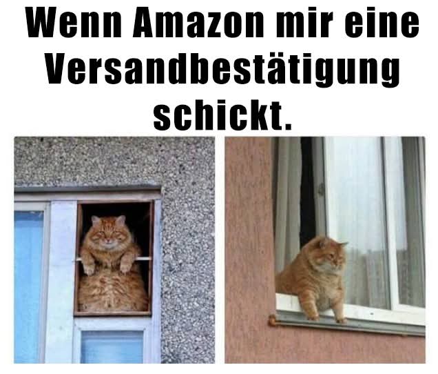 wenn - gdy, kiedy, jeśli, jeżeli