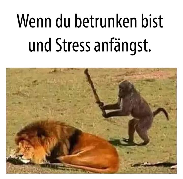 der Stress - stres