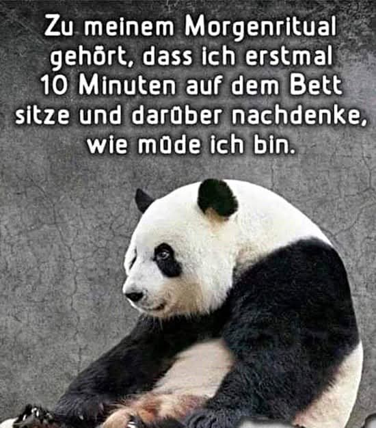 das Ritual - rytuał