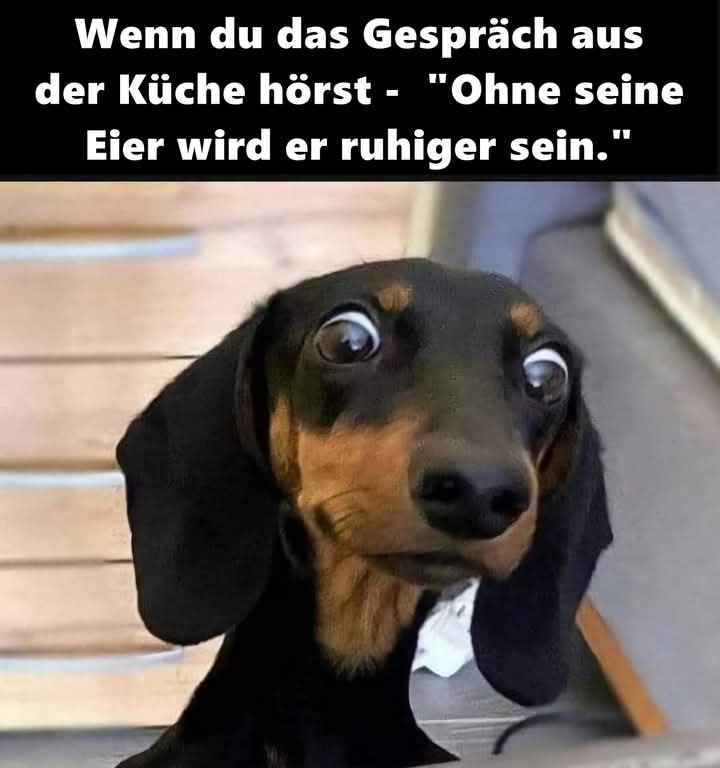 das Gespräch - rozmowa, konwersacja, dialog