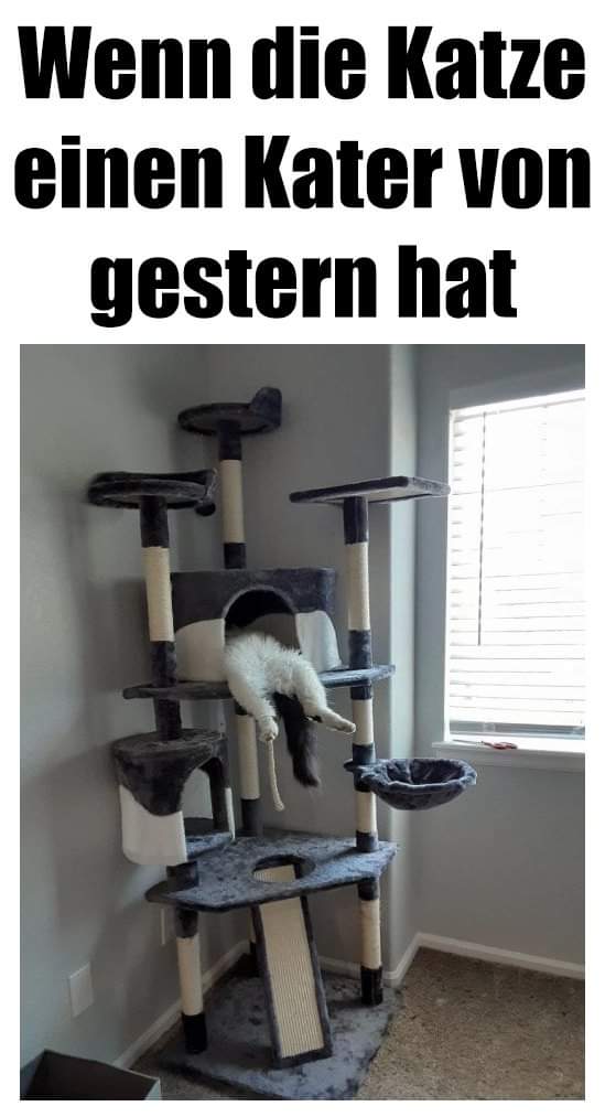 gestern - wczoraj