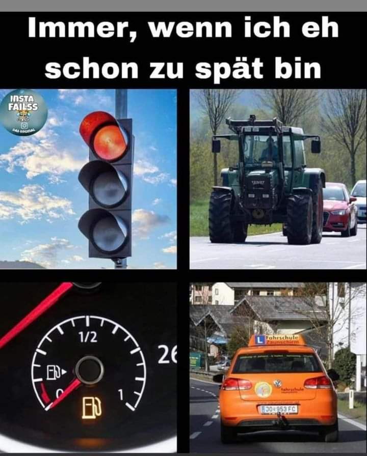 immer - zawsze, ciągle, wciąż