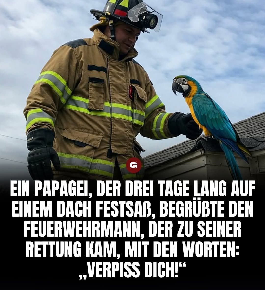 dach